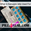 What Is Kamagra Jelly Used For new07